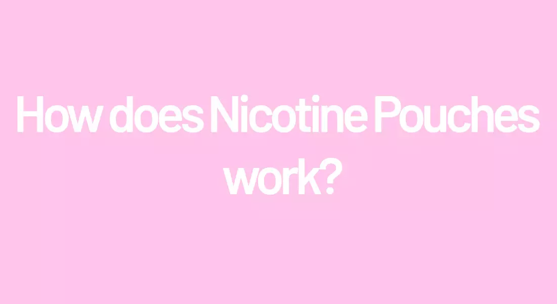 How Do Nicotine Pouches Work Nicotine Pouches