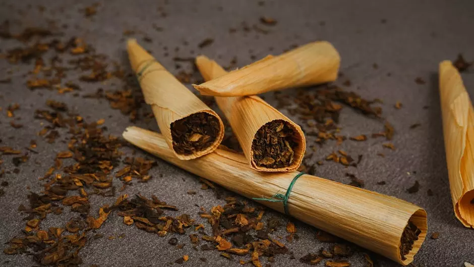 What are Muse nicotine pouches?