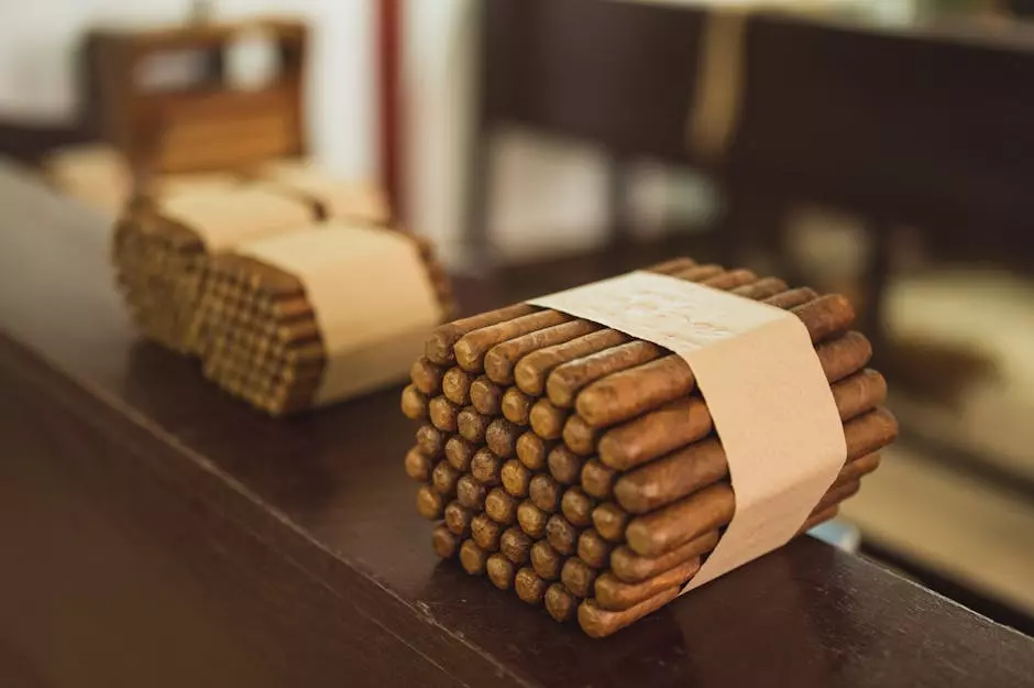 How do you use XQS nicotine pouches?