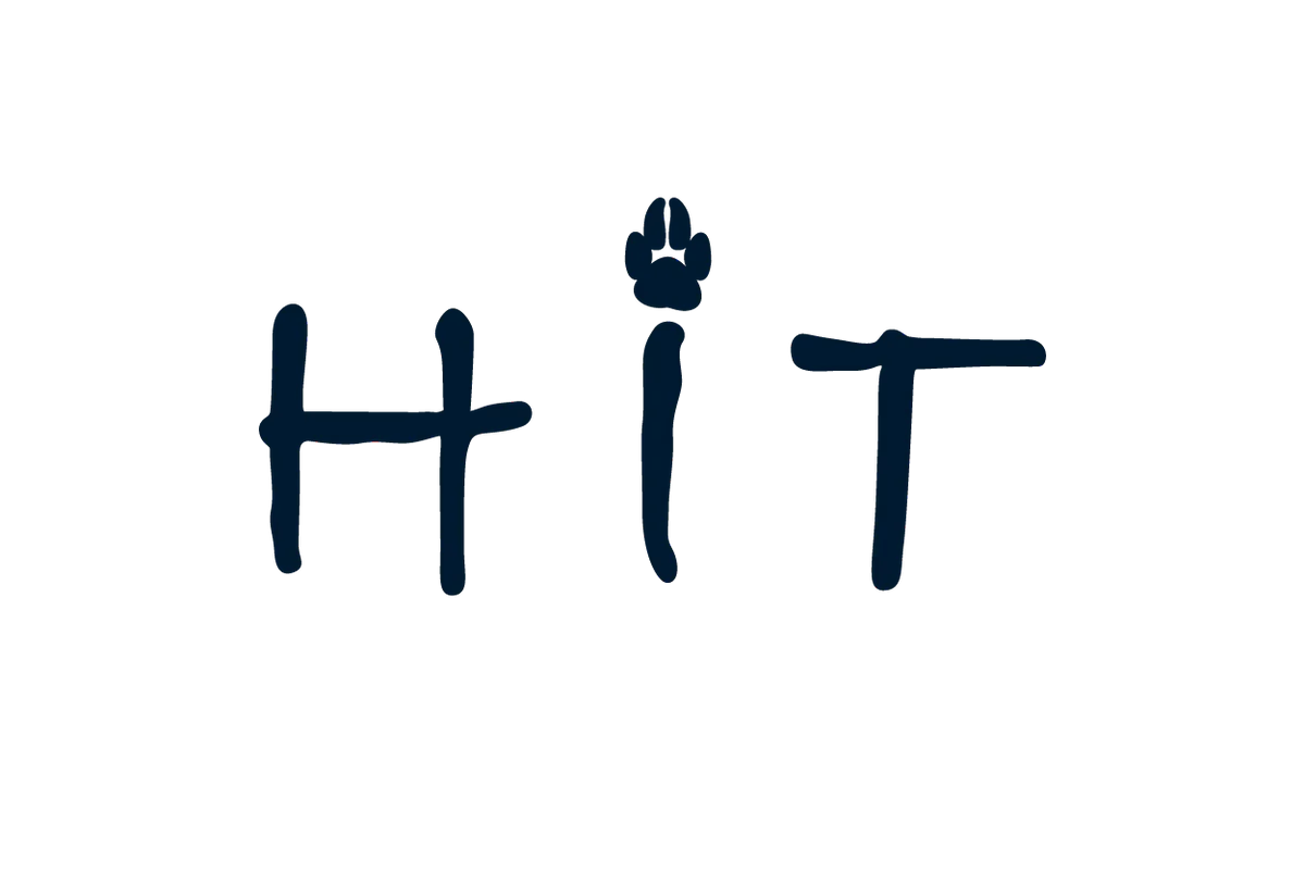 Hit logo
