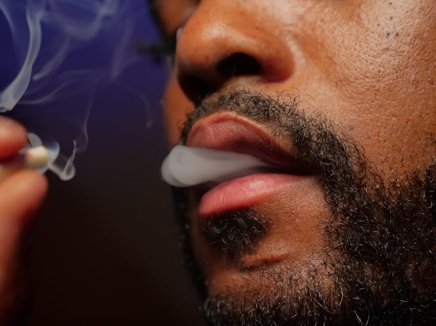 How do you use XQS nicotine pouches?