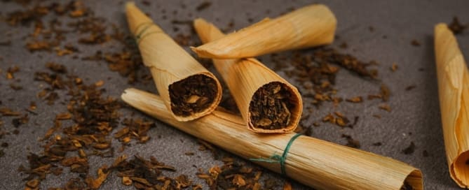 What are low-nicotine pouches?