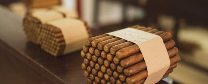What are spearmint nicotine pouches?